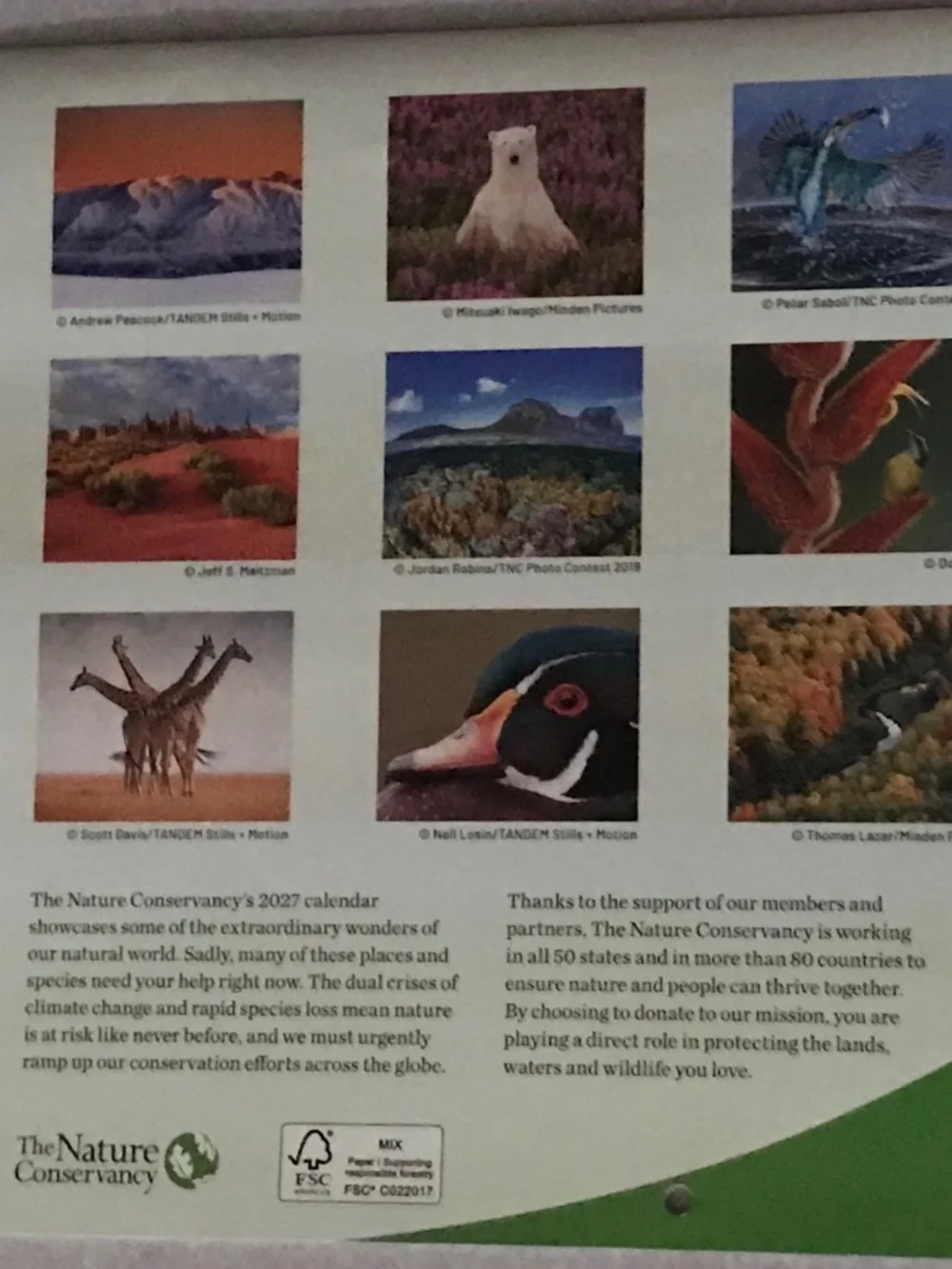2027 Wildlife outdoors colorful wall Calendar
